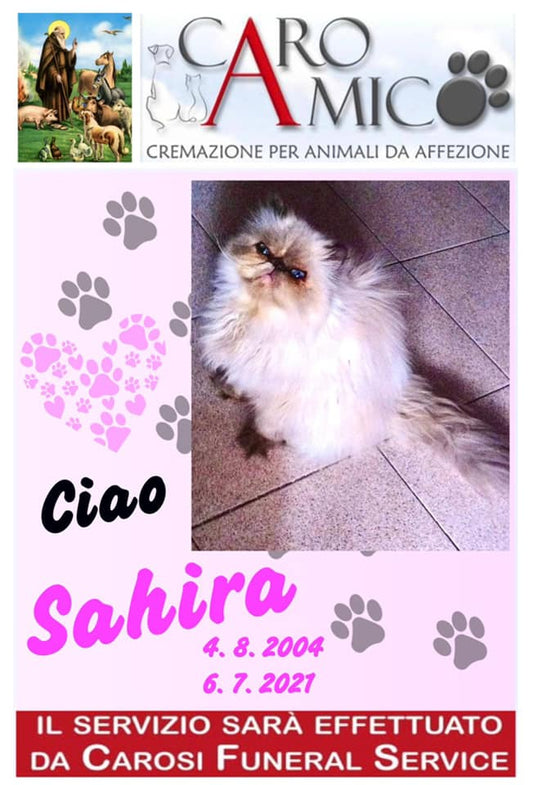 SAHIRA 04.08.2004 - 06.07.2021