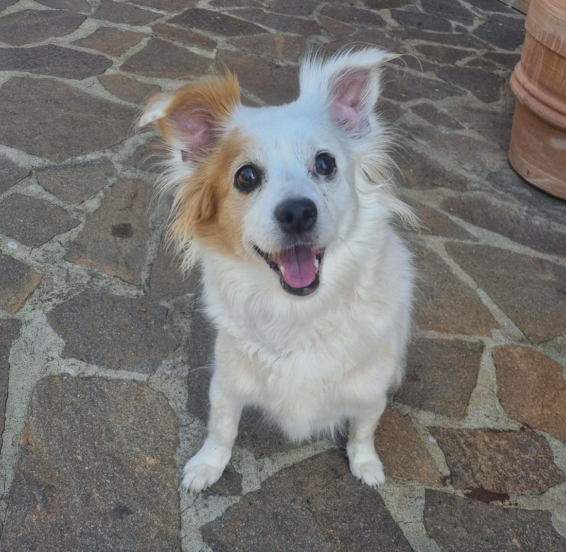 ZOE 30/12/2025